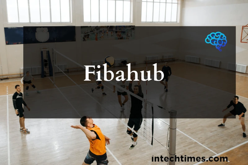 Fibahub: What Is It? Everything You Need To Know