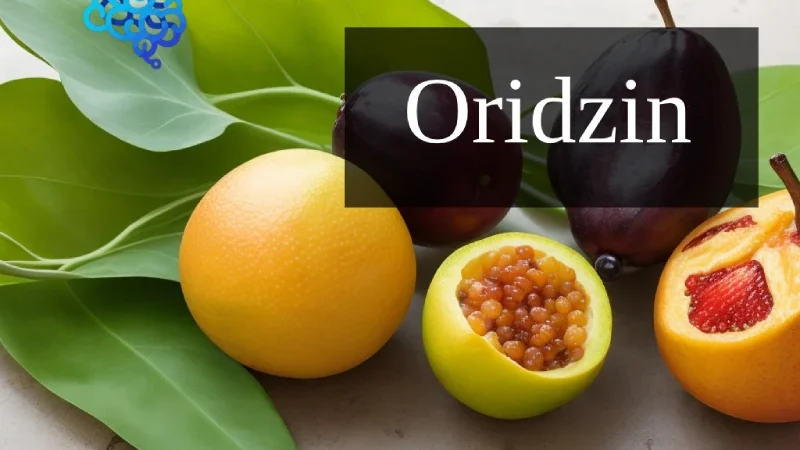 Oridzin: The Natural Elixir for Holistic Health