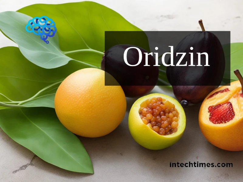 Oridzin: The Natural Elixir for Holistic Health