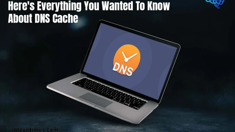 Here’s Everything You Wanted to Know About DNS Cache