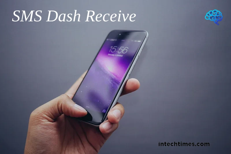 SMS Dash Receive: Everything You Need To Know About It