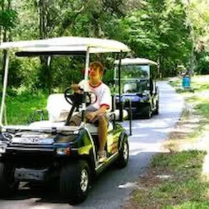 All You Need to Know About Renting a Golf Cart