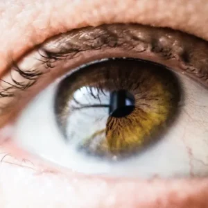 Vision Wellness: A Holistic Approach to Eye Care